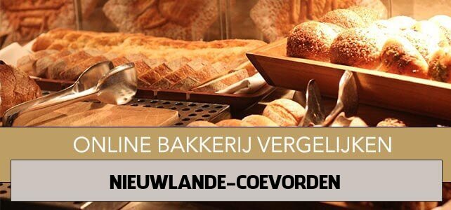 online bakkerij Nieuwlande Coevorden